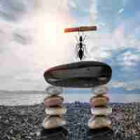 专‍业‍关‌键﻿词‍优‌化‌公​司﻿